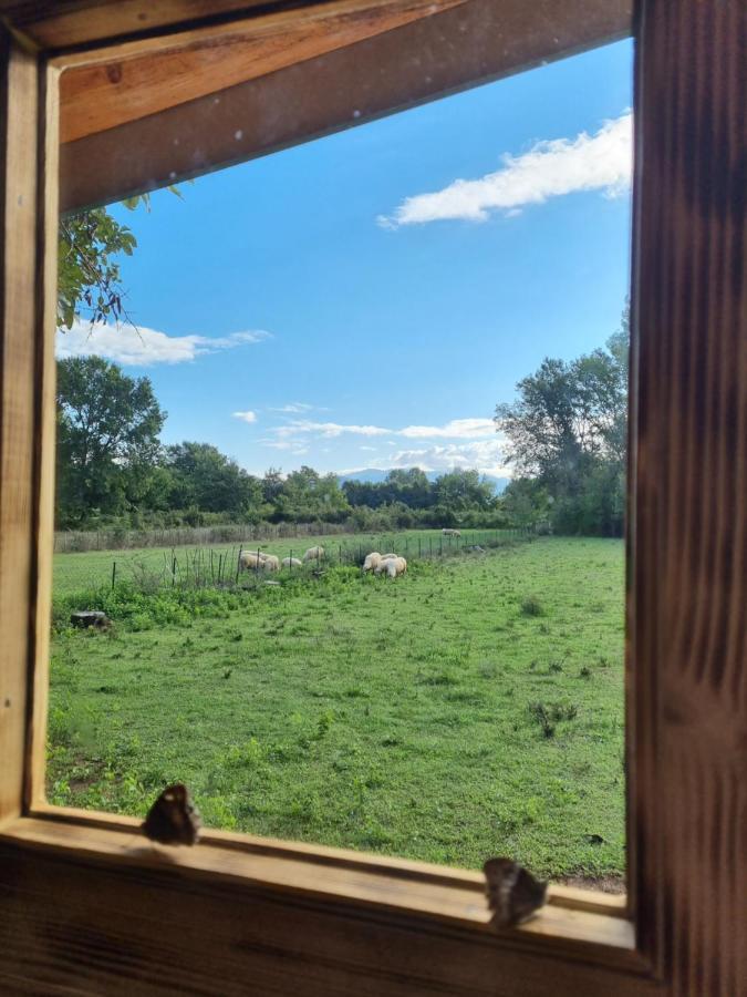 Wolf & Sheep Nature & Adventure Podgorica Exteriör bild